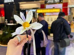 -远大购物中心(南岗店)