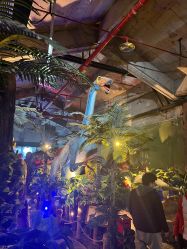 -恐龙探索乐园(磁器口店)