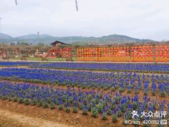 -盈香心动乐园