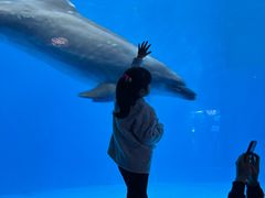 -海合安成都极地海洋公园