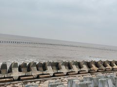-南汇嘴观海公园