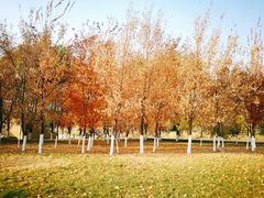 -长春世界雕塑园冰雪艺术天地