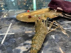 -SHRIMP CLUB万东餐饮钓虾·清吧