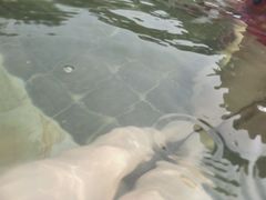 -深业半汤御泉庄温泉