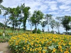 -白沙门生态公园