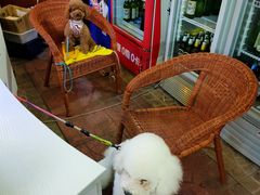 -大海别墅民宿农家院(十渡店)