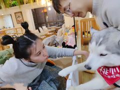 -Husky Go! 哈士奇体验馆·宠物咖啡厅狗咖