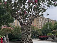 -杭州城北体育公园