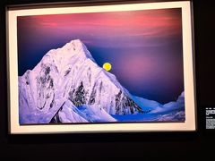 -罗红摄影艺术馆