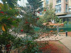 -忆江南·临江鱼馆