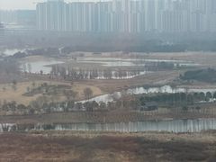 -洋湖国家湿地公园
