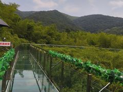 -陶祖圣境风景区