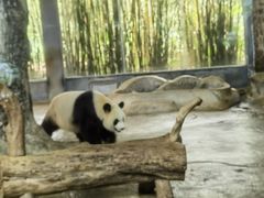 -海南热带野生动植物园