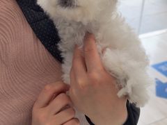 -申普宠物医院·眼科·心内科·影像科(普陀分院)
