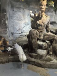 -Zoolung Zoolung动物主题公园(海信广场店)