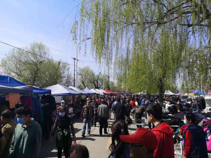 沙河早市每周三日上午大集周六狗市周三明显比周日人少人多的时候根本