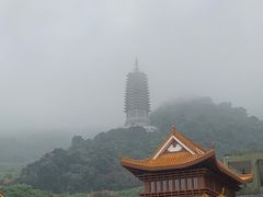 -深圳仙湖植物园