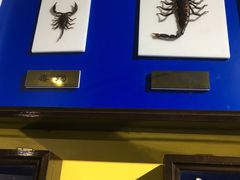 -上海昆虫博物馆