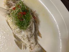 -伯衡55·吉品轩(乌鲁木齐南路店)