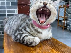 -土灶坊·地锅鸡(周庄店)