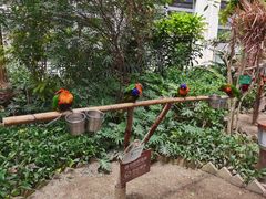 -南宫五洲植物乐园