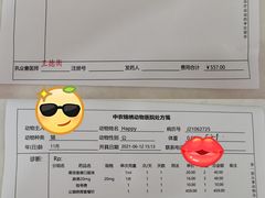 -喜多萌中农锦绣动物医院24H·猫科·牙科MRI·CT