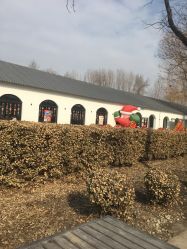 -优沃得自然教育农场·冰雪乐园·生日会·研学