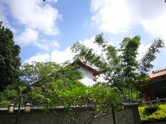 -南宁良凤江国家森林公园