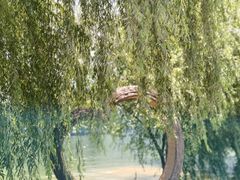 -新安江山水画廊风景区