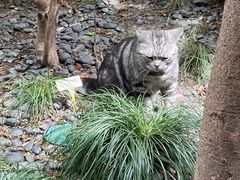 -龙华寺