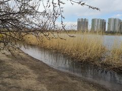 -永定河休闲森林公园