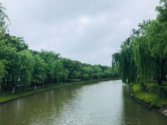 -上海鲜花港