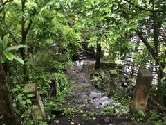 -三峡人家风景区