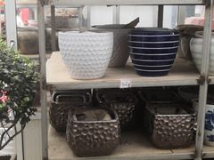 -龙大花卉苗木市场