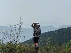 -北京鹫峰国家森林公园