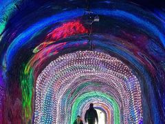 -栾川竹海野生动物园