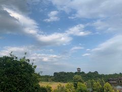 -张坝桂圆林公园