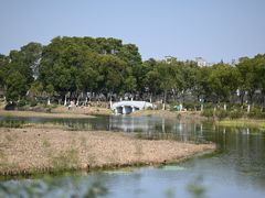 -金银湖国家城市湿地公园