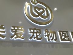 -关爱宠物医院·猫科中心·消化科(滨湖万达分院)