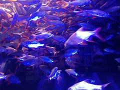 -成都浩海立方海洋公园