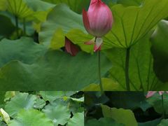 -丝绸小镇荻港古村