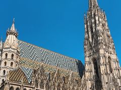 -斯蒂芬主教座堂(Stephansdom)