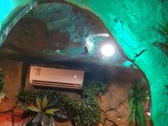 -醉小酒馆·川菜·江湖菜·重庆菜(观音桥旗舰店)