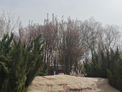 -南翠屏公园