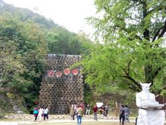 -千年银杏谷文化旅游区