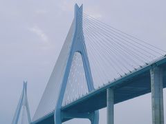 -芒洲湿地公园