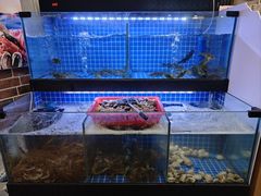 -罗二娘·鲜切牛自助火锅(罗湖东门步行街店)