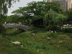 -堤角公园