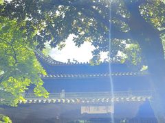 -天一阁博物院