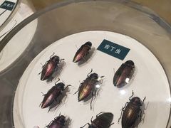 -陕西自然博物馆